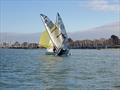 Chichester Yacht Club Snowflake Series 2024 Day 1 © Chris Hodge