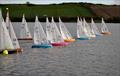 Cat Sails International One Metre Ulster Championships © Sue Brown / Cat Sails