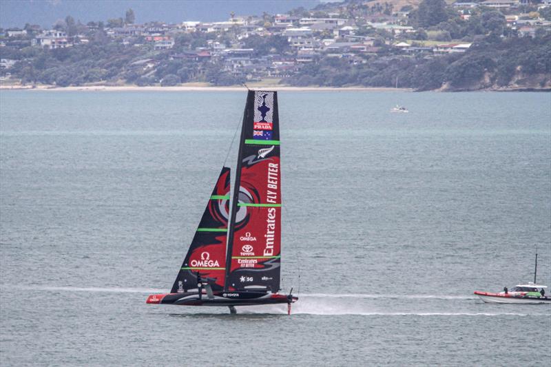 Emirates Team New Zealand in The Paddock - January 8, 2020 - photo © Richard Gladwell / Sail-World.com