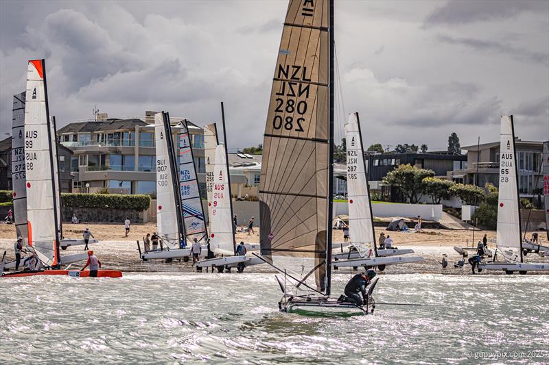 The PredictWind A-Class Cat Worlds 2025 starts on the 11th November in Auckland - photo © Gordon Upton / www.guppypix.com