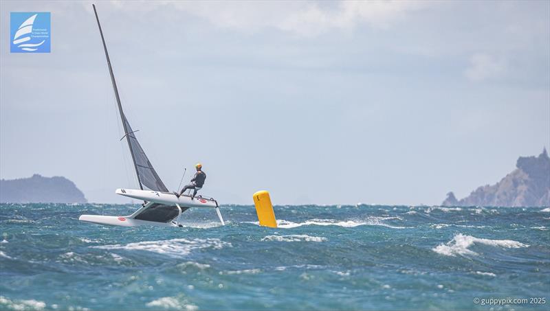 Darren Bundock (AUS) - Day 4 - 2025 Predictwind A-Class World Championships - November 14, 2025 - Milford NZ - photo © Gordon Upton / www.guppypix.com