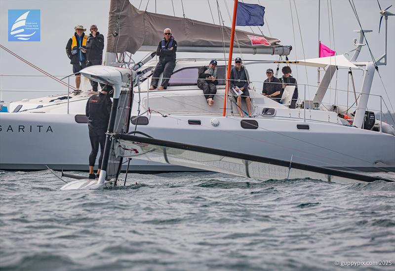 If you don't look at them..., just don't look at them...- Day 5 Predictwind A-Class Catamaran World Championships - Milford, NZ - November 15, 2025 - photo © Gordon Upton / www.guppypix.com