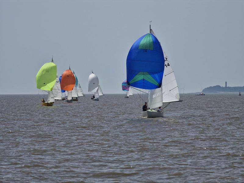 Ajax Nationals 2022 at Royal Harwich Yacht Club photo copyright Keeran Klee Leonard taken at Royal Harwich Yacht Club and featuring the Ajax class