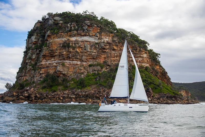 Proving that everyone got around Lion Island was, Elara - photo © John Curnow