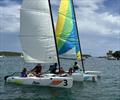 Open House participants enjoyed sailing Hobie Waves