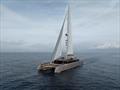 ArtExplorer Catamaran