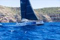 Ocean 50 Malolo - RORC Caribbean 600