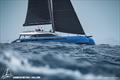 Caribbean Multihull Challenge