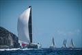 The multihull fleet had an impressive mix of vessels, from cruising cats to pocket-rocket trimarans, in the 2025 St. Maarten Heineken Regatta