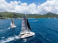 George Coutu's Leopard 50 La Novia (DOM) and the Cruising Multihull fleet - BVI Spring Regatta & Sailing Festival
