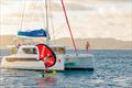 Living the dream in the British Virgin islands