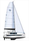 Leopard 43