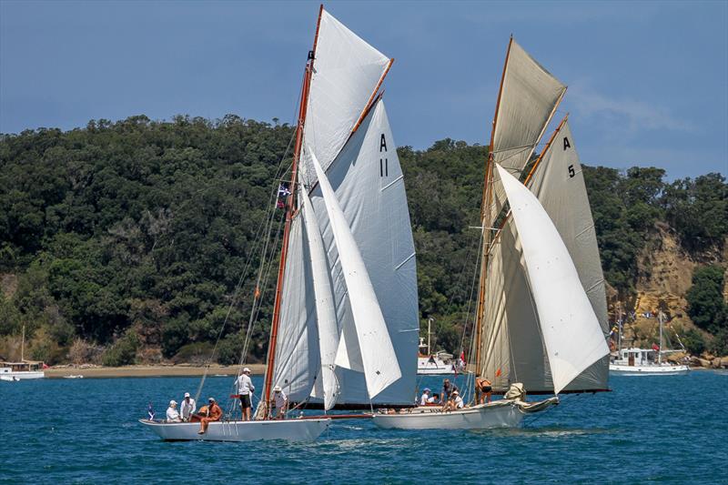 Ida (A11- 1895) to windward, and Rawene (A5- 1908) - Mahurangi Regatta - January 29, 2022 - photo © Richard Gladwell - Sail-World.com/nz