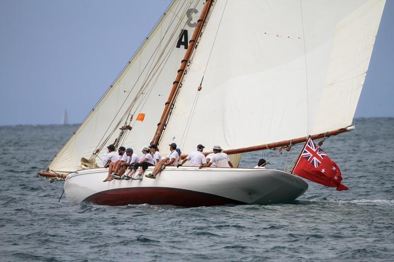 Ariki - (Logan 1904) - Mahurangi Regatta - January 29, 2022 - photo © Richard Gladwell - Sail-World.com/nz