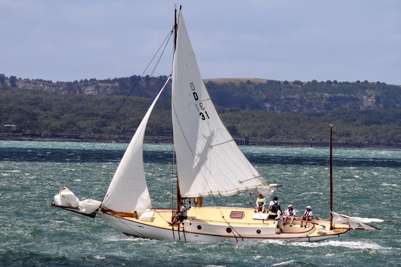 Auckland Anniversary Regatta - January 31, 2022 - photo © Richard Gladwell / Sail-World.com