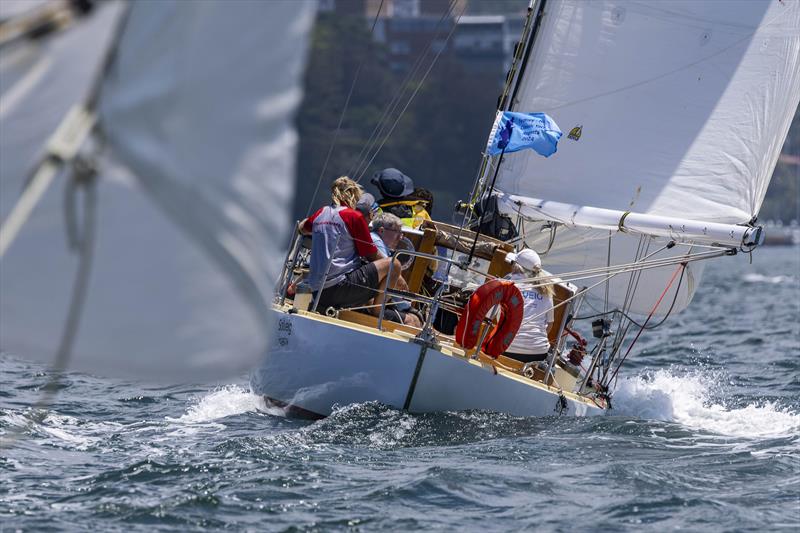 Solveig during the Classic Sydney Hobart Yacht Race 2024 - photo © Andrea Francolini