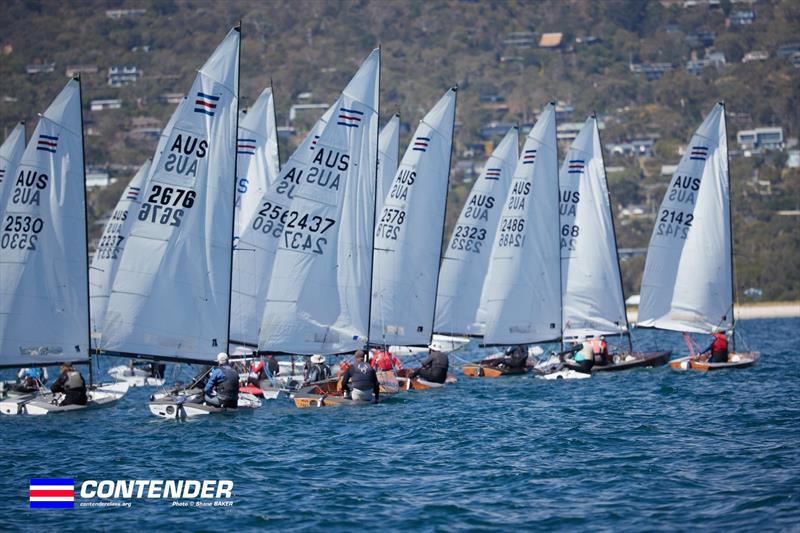 2025 Victorian Contender Class Championship - Day 1 - photo © Shane Baker