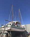 Margaret Pearl nears completion at the Queenscliff adjunct of the Wooden Boat Shop © Wooden Boat Shop