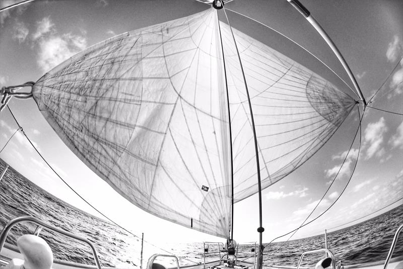 Downwind Sailing - Goose Winged: Michelle Howell's entry in the 2018-19 ilovesailing calendar competition photo copyright Michelle Howell taken at  and featuring the Cruising Yacht class
