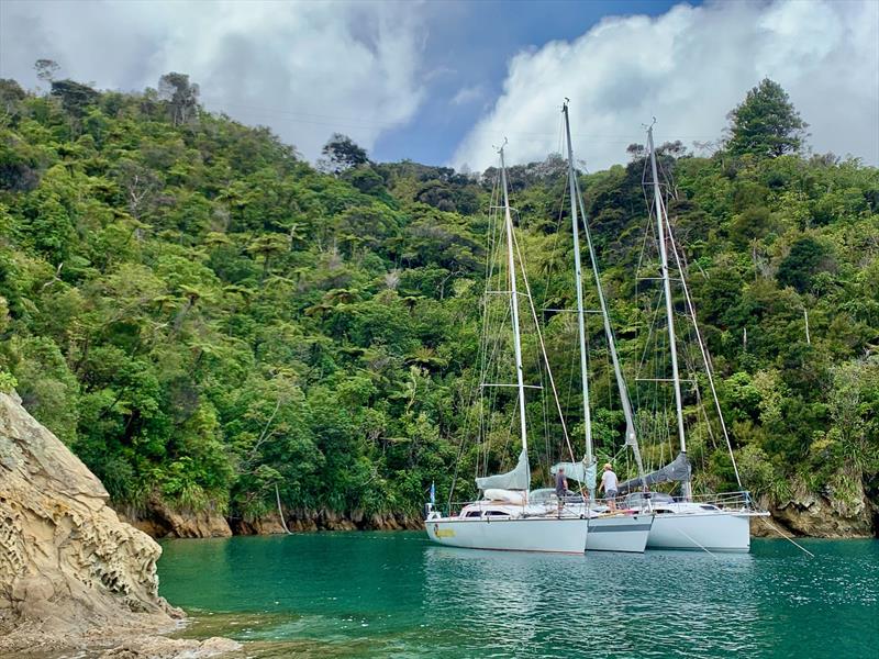 Yachts at anchor in Queen Charlotte Sound – planned Sail South rally destination – Ballistic, Natural Magic & High Voltage - photo © Peter Moore