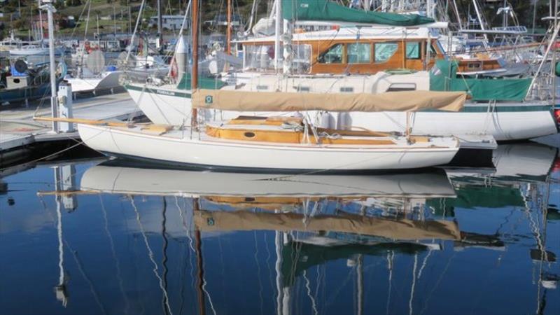 The resurgence of the D Class - photo © Southern Woodenboat Sailing