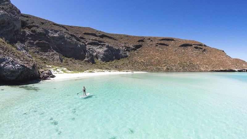 SUP anyone? - photo © Nautilus Sailing