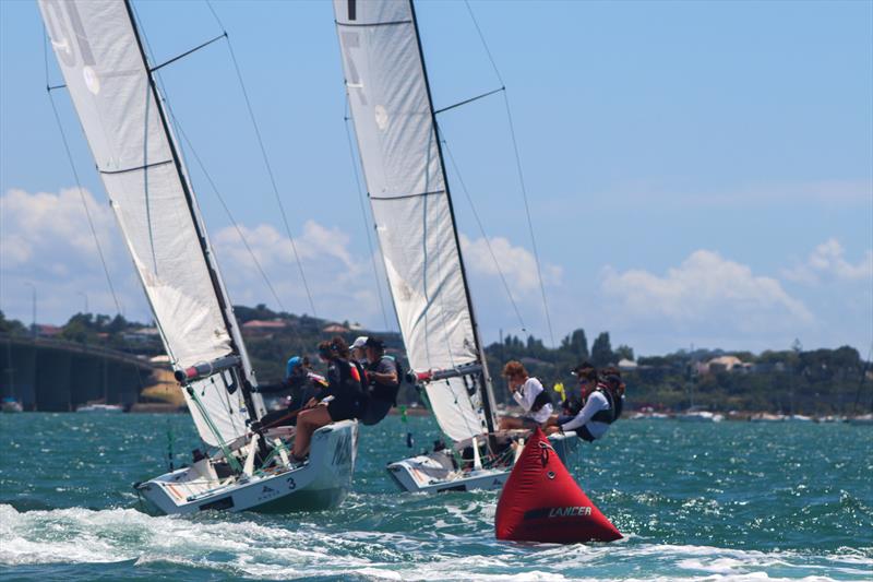 Harken NZ NZ Match Racing Championship - Royal NZ Yacht Squadron - January 22-24, 2022 photo copyright RNZYS Media taken at Royal New Zealand Yacht Squadron and featuring the Elliott 7 class