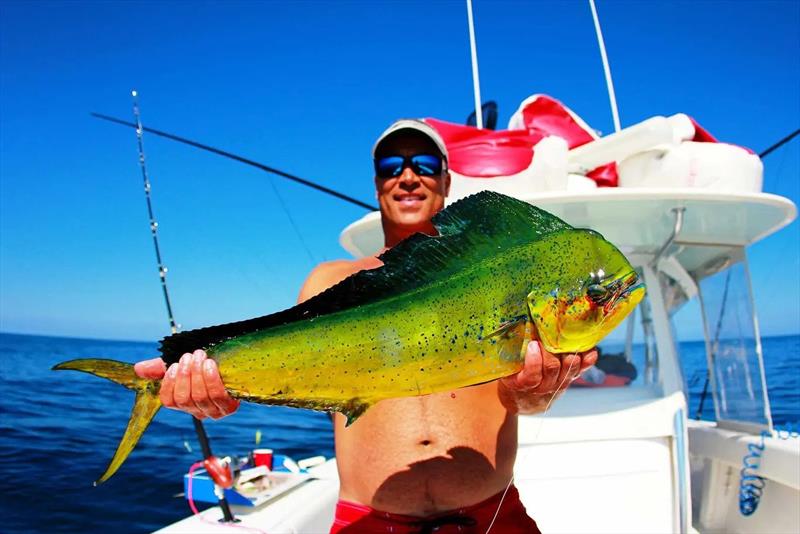 A guide to fishing in the Gulf of Mexico photo copyright Mustad Fishing taken at  and featuring the Environment class