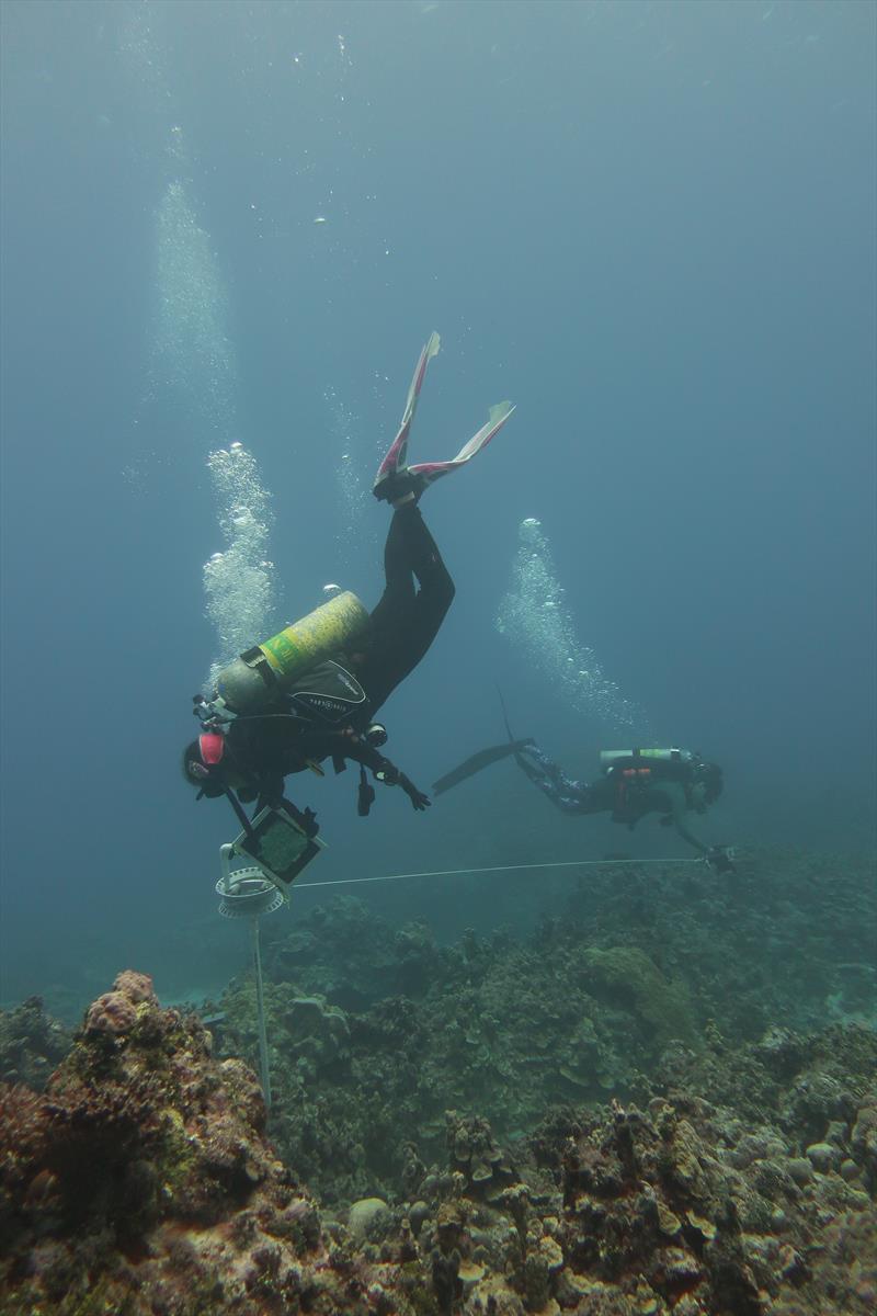 Divers swim in concentric circles collecting images of the reef that they will stitch together later to form a three-dimensional model photo copyright NOAA Fisheries / K. Urquhart taken at  and featuring the Environment class