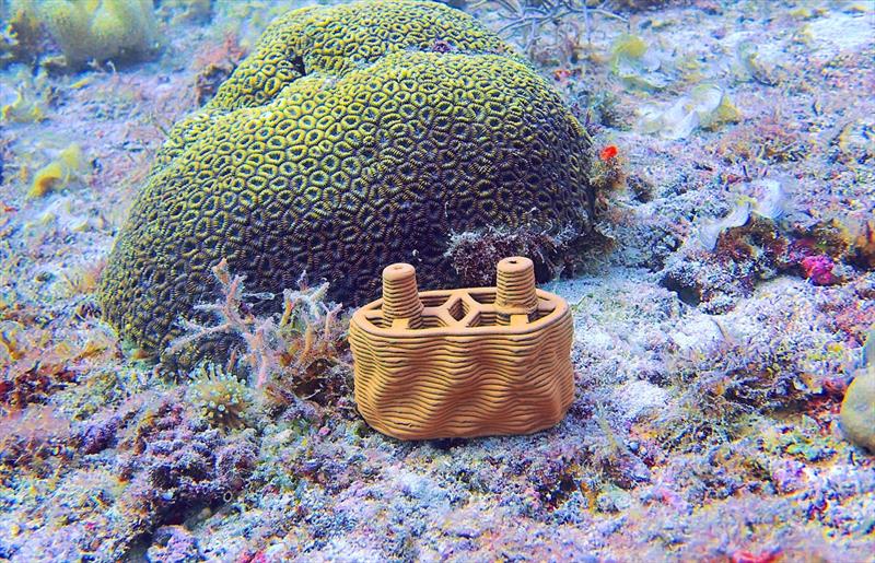 Damaged corals reefs will be rebuild using the modular system made from 3D-printed clay brick by rrreefs - photo © rrreefs