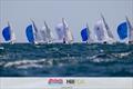 The fleet downwind on day 5 of the 2024 Etchells World Championships © Suellen Hurling for Live Sail Die and Down Under Sail