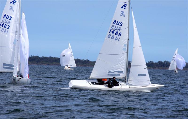 Great White Hunter AUS1483 and Playing Around 3 AUS1444 turn around the leeward gate during race 7 of the Etchells 2025 Australian championship photo copyright Jeanette Severs taken at Metung Yacht Club and featuring the Etchells class