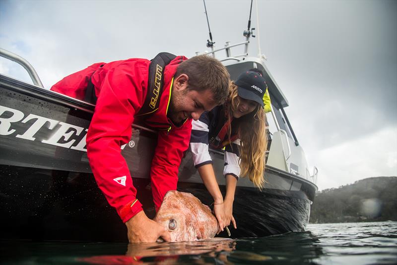 ABS-Snapper fishing - Adelaide Boat Show 2018 photo copyright AAP Medianet taken at  and featuring the Fishing boat class