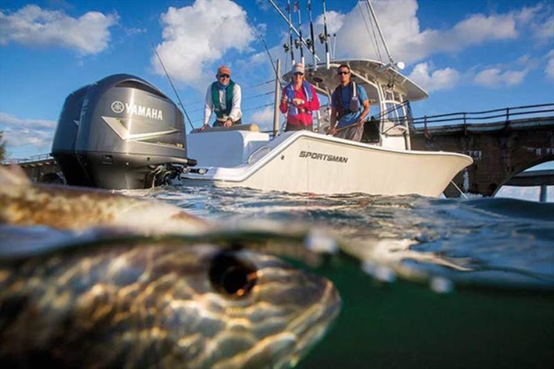 American Sportfishing Association to participate in 2024 “Passion to Profession” NPAA Conference photo copyright National Professional Anglers Association taken at  and featuring the Fishing boat class