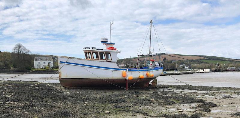 Made in Looe Reunion Weekend - May Queen photo copyright Made in Looe taken at Looe Sailing Club and featuring the Fishing boat class