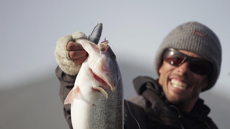 Swim a Bait - Feat. Paul Bailey & Patrick Touley photo copyright AFTCO taken at  and featuring the Fishing boat class