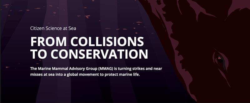 Managing risk: Insurance spotlight on conservation - photo © Marine Mammal Advisory Group