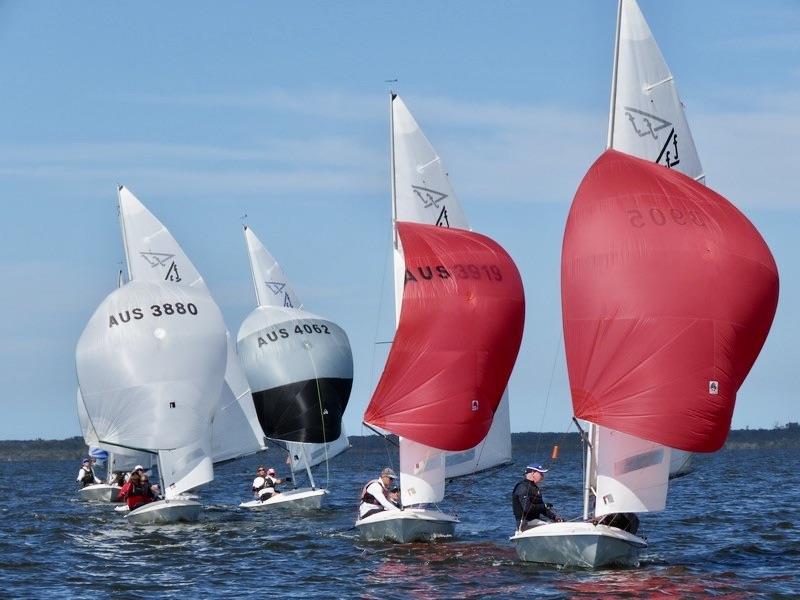 2022 Flying Fifteen Victorian State Championship photo copyright Christie Arras taken at Gippsland Lakes Yacht Club and featuring the Flying Fifteen class