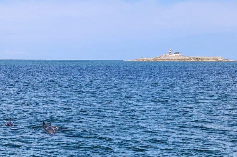 Dolphins - GP14 Munster Championship at Tralee Bay - Day 1 - photo © Andy Johnston