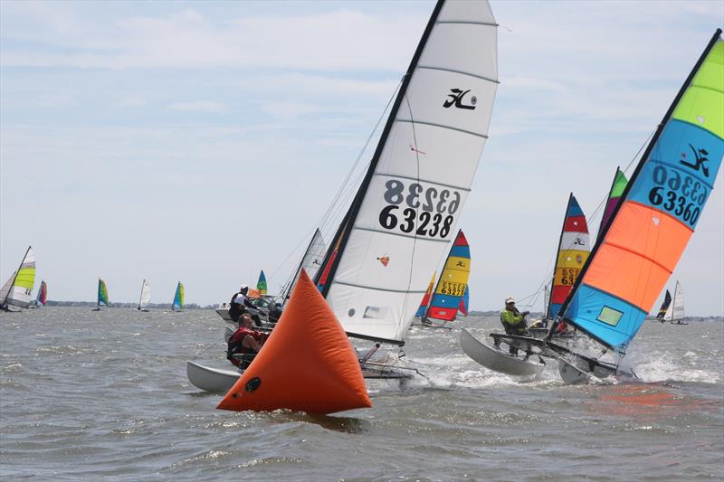 Alter Cup Trophy - 2019 U.S. Multihull Championship photo copyright Leon Kanopka taken at  and featuring the Hobie 14 class