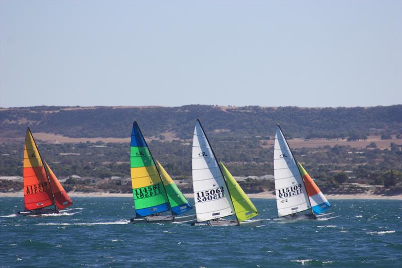 2022 Warren Taylor Homes WA Hobie State Championships - photo © Natalie Whitfield