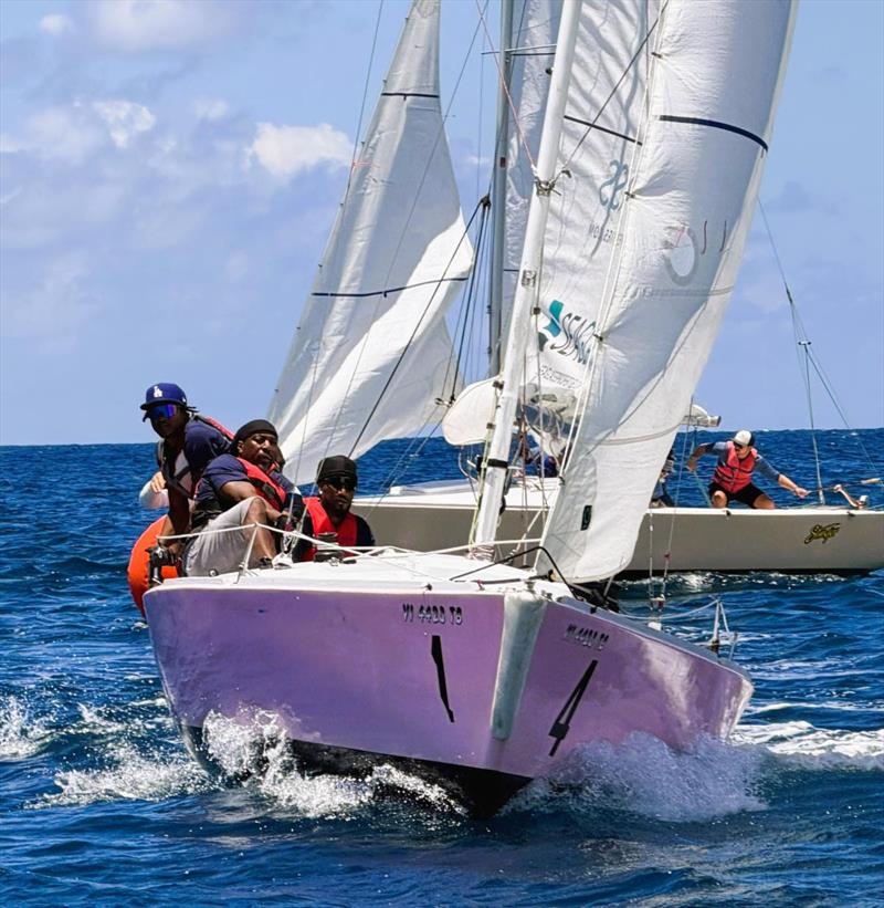 Team Margaritaville, second place finishers, at the 7th Annual USVI Hotel & Tourism Association Regatta - photo © STSC