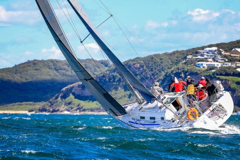 Summer Salt - SailFest Newcastle Regatta photo copyright Salty Dingo taken at Newcastle Cruising Yacht Club and featuring the IRC class