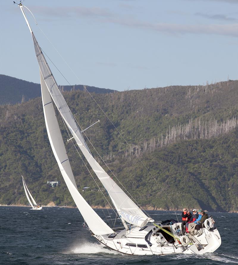 Marlborough Sounds Marinas Spring Twilight Series 2017 - Final day photo copyright Brad Goode / Steve Hodren taken at Waikawa Boating Club and featuring the IRC class