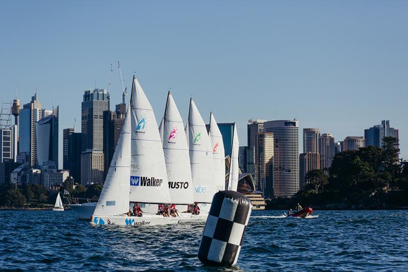 2019 National Sailing League Final - Day 2 - photo © Darcie Collington Photography