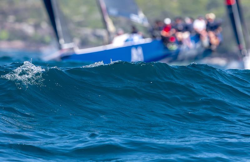 Sam Haynes' TP 52 Celestial photo copyright Bow Caddy Media taken at Cruising Yacht Club of Australia and featuring the IRC class