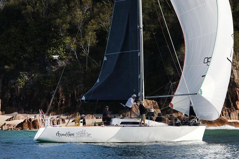 Sail Port Stephens - Animal Farm 1st Div 3 Race 2  - photo © Promocean Media