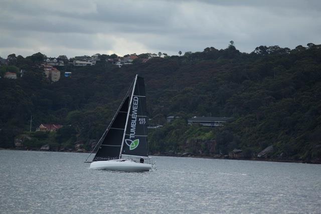 Tumbleweed in action ahead of the 2023 Sydney Hobart Race - photo © Images Graham Biehl Collection