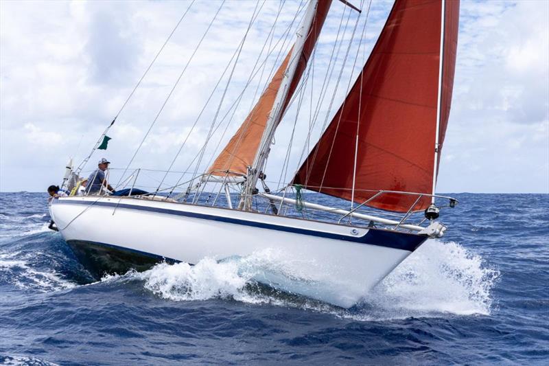 Gary O'Grady's Tradewind 35 Cara of the South - 2025 Antigua Race Week - photo © Tim Wright - photoaction.com