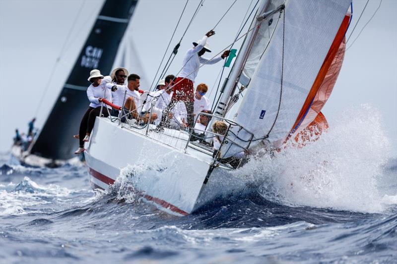 Carlo Falcone's IOR racer Caccia Alla Volpe - 2025 Antigua Race Week - photo © Paul Wyeth / pwpictures.com